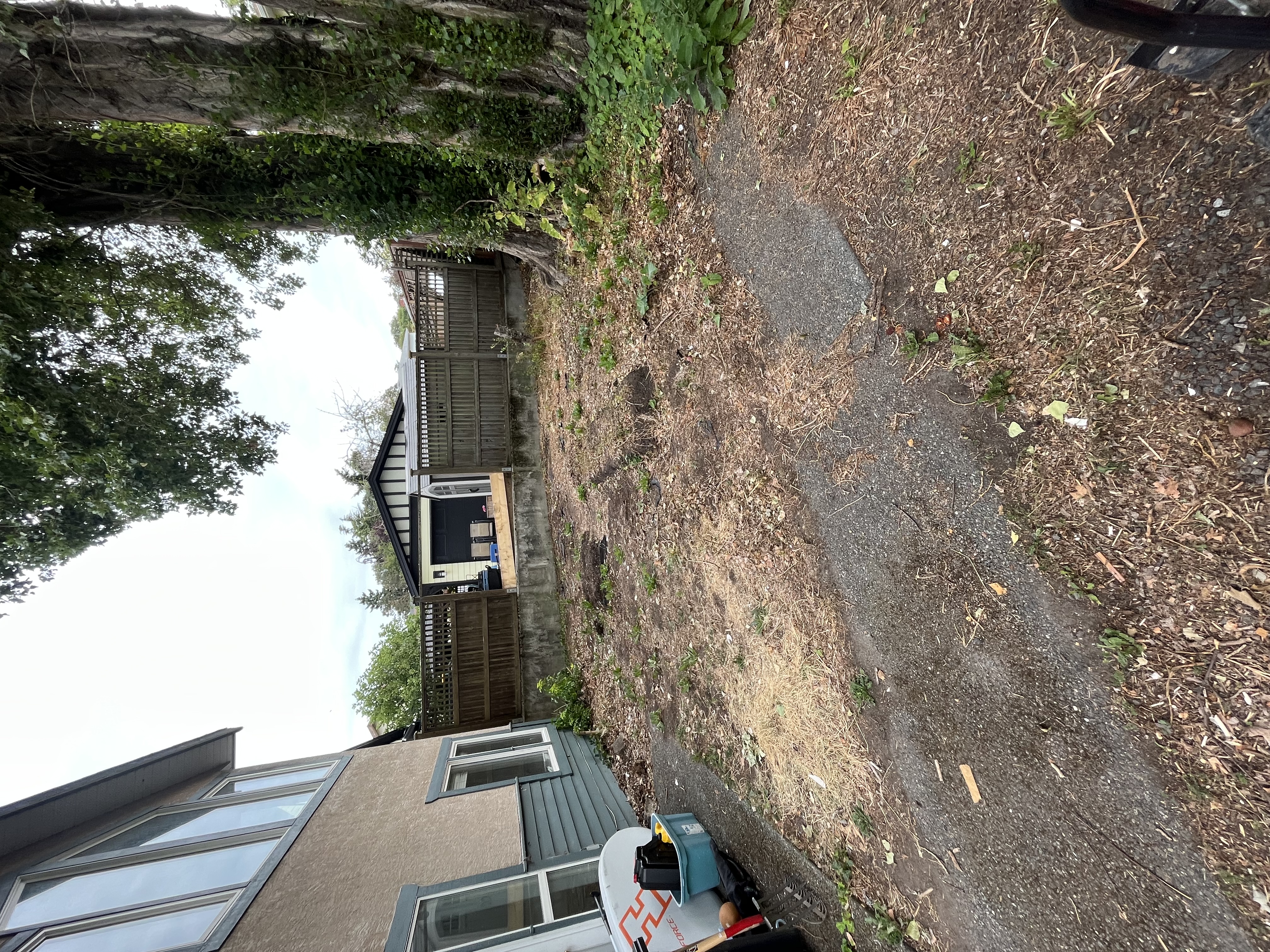 Regrading backyard for improved drainage